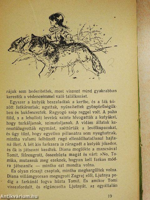 Négy kislány és sok kis állat