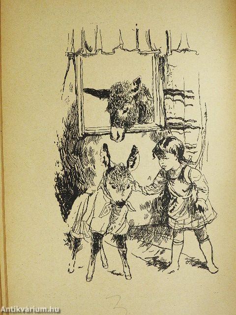 Négy kislány és sok kis állat