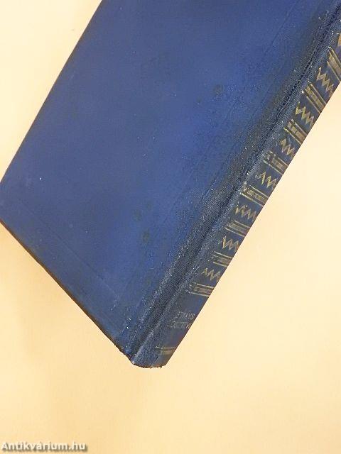 Dilettáns gonosztevő