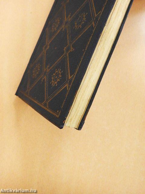 Dilettáns gonosztevő