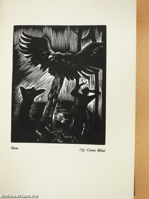 Hőskor (dedikált példány)