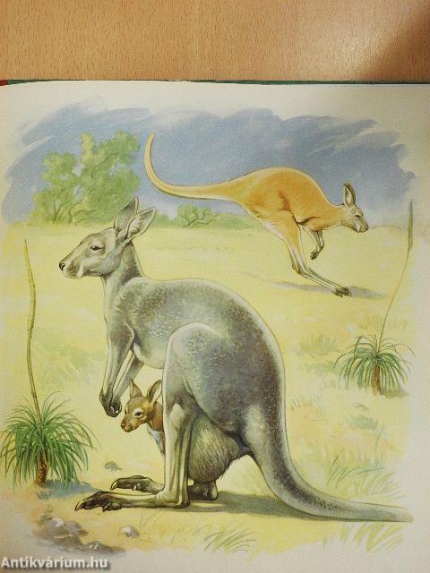 Anya és gyermeke az állatvilágban