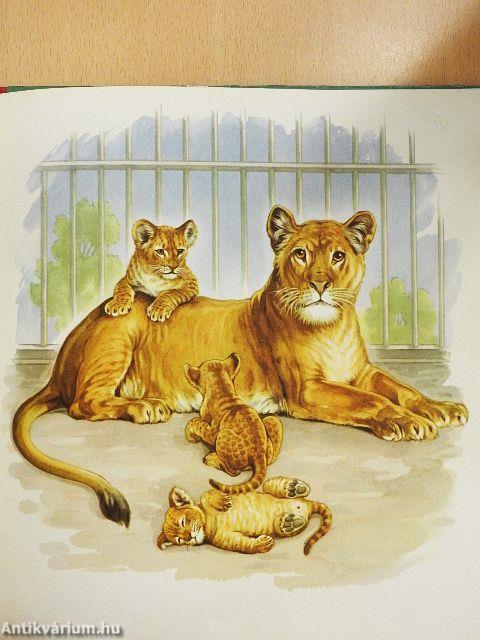 Anya és gyermeke az állatvilágban