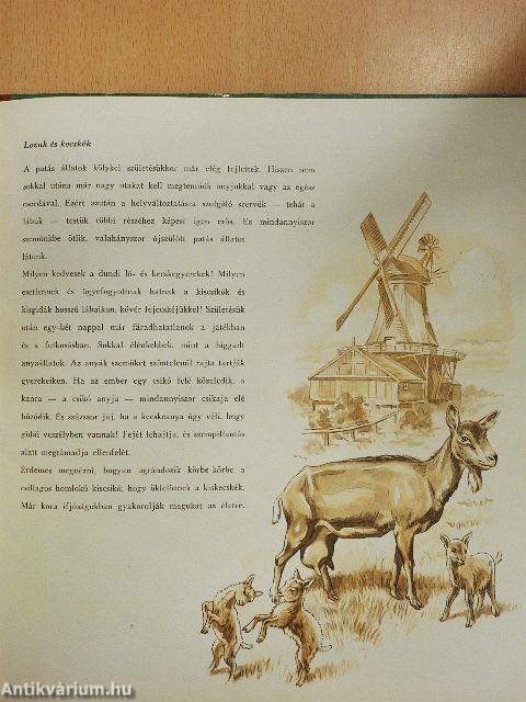 Anya és gyermeke az állatvilágban