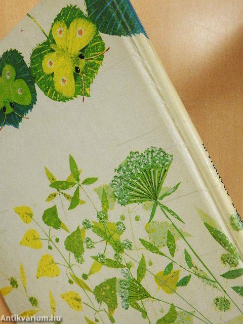 Jó reggelt, Aranyhajú