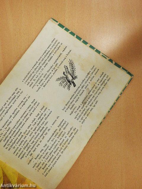 Aladdin és a csodalámpa