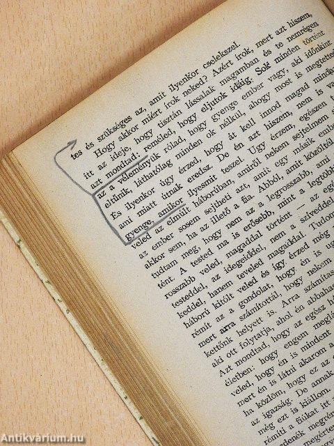 Egy amerikai közlegény kalandjai