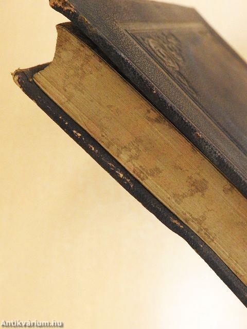 Populare polemische Dogmatik (gótbetűs)