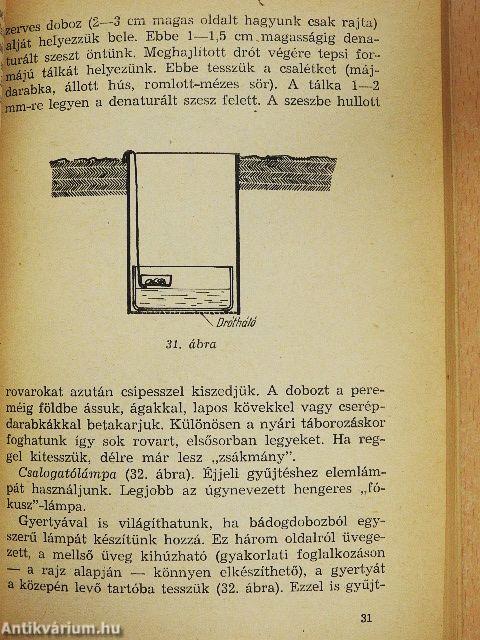 Rovargyűjtés