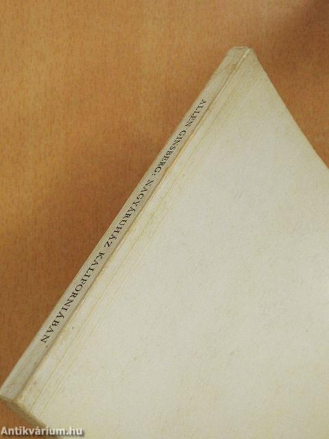 Nagyáruház Kaliforniában