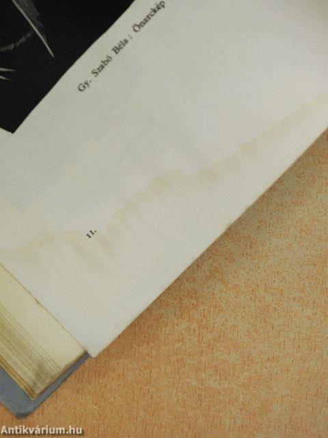 Magyar Szemle 1937. február