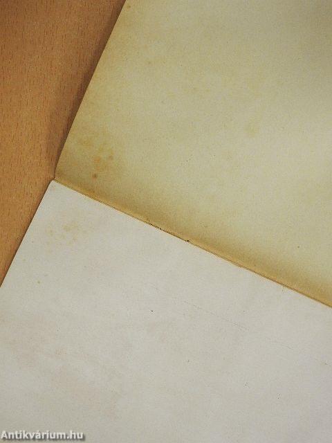 A szegedi alföldkutató bizottság