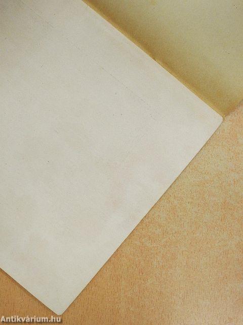 A szegedi alföldkutató bizottság