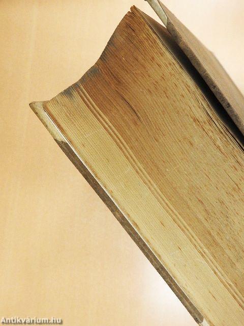 Der moderne Kapitalismus I.