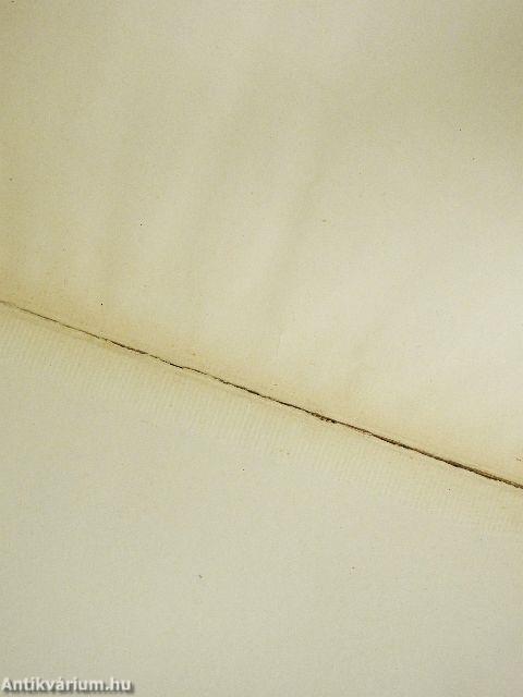 Michelangelo Buonarroti - Die Bildwerke