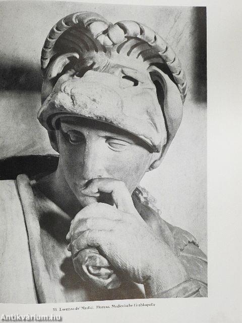 Michelangelo Buonarroti - Die Bildwerke