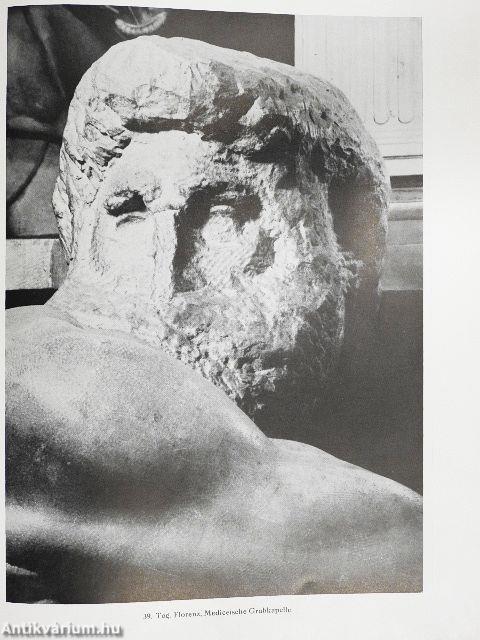 Michelangelo Buonarroti - Die Bildwerke