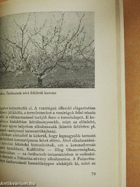 Csonthéjas gyümölcsök házikerti termesztése