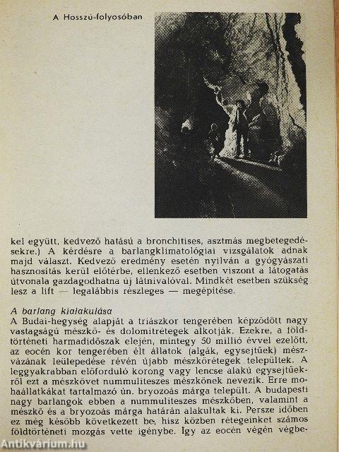 Budapest - Szemlő-hegyi-barlang