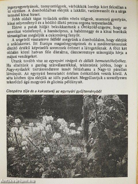 Vácrátót - Botanikus kert