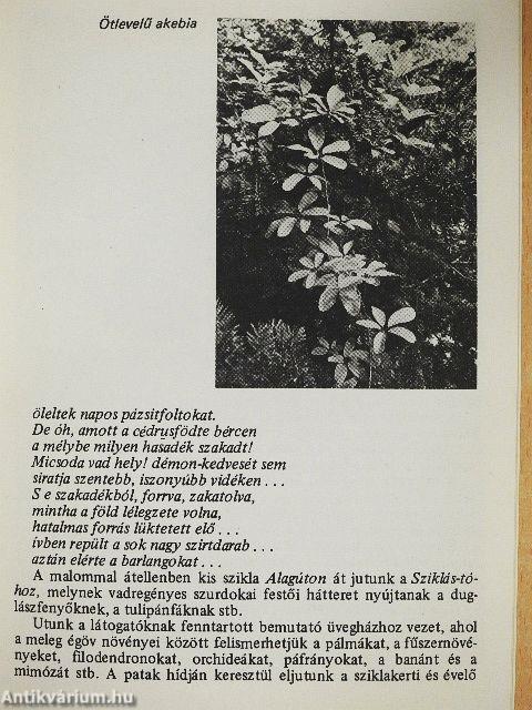 Vácrátót - Botanikus kert