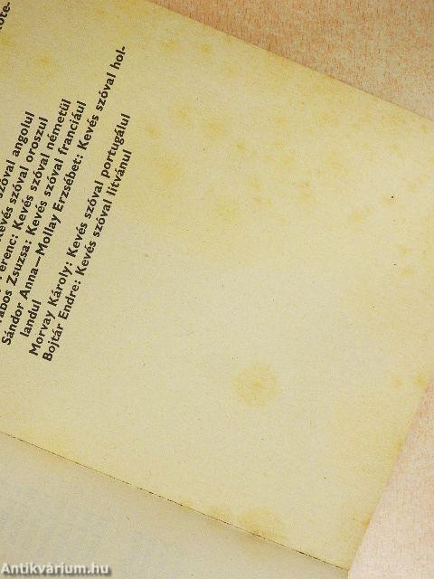 Kevés szóval németül