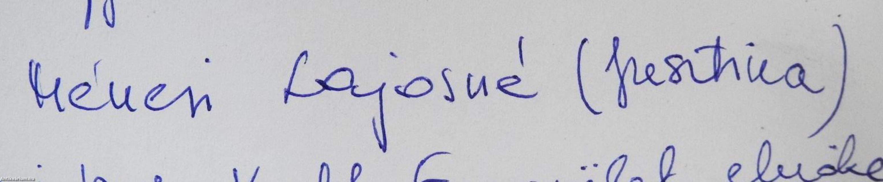 Algyői paletta (dedikált példány)