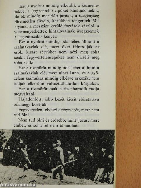 Logikai kapuk (dedikált példány)