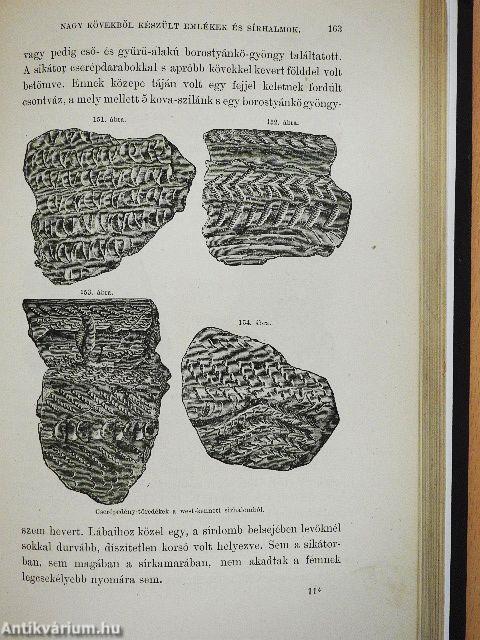 A történelem előtti idők I.