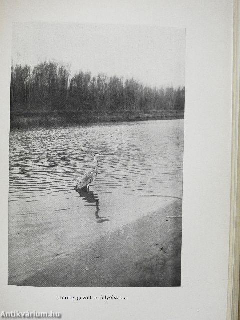 Dunárul fúj a szél...