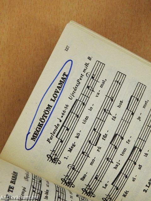 Tiszán innen Dunán túl