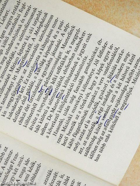 A lengyel avantgarde furcsa története