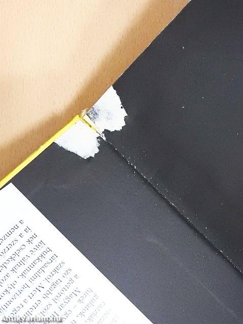 "Oly korban éltem én..."