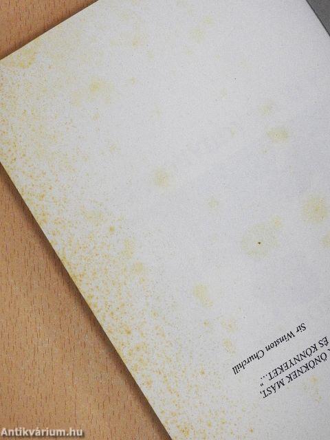 Öngyilkos akciók a II. világháborúban