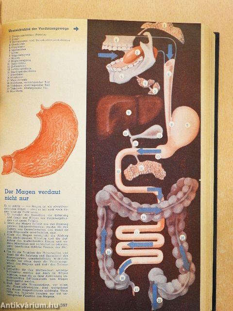 Gesundheitsbuch für die Familie