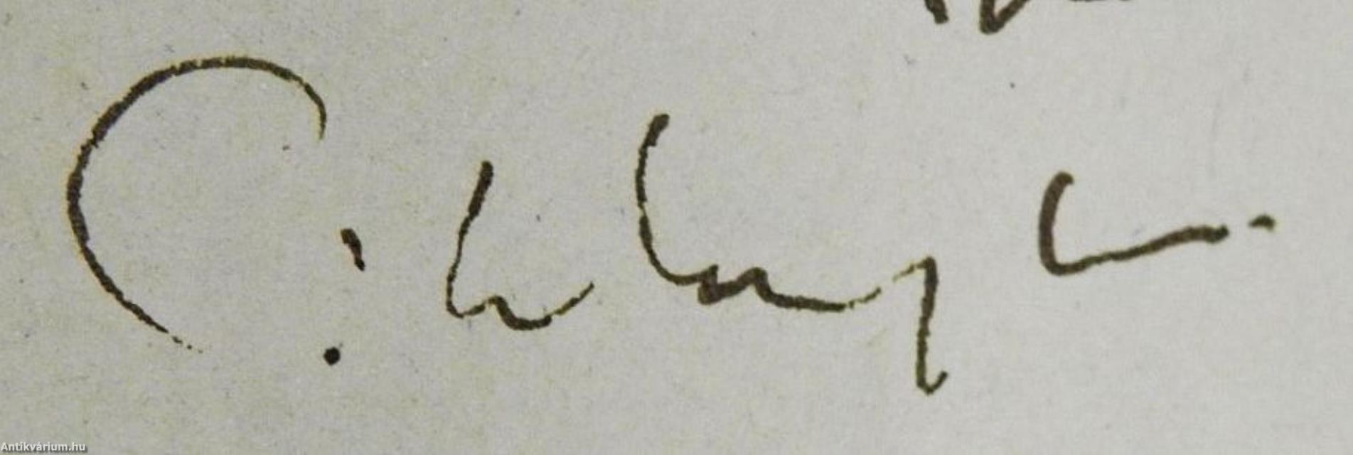 A fennmaradás társadalmi programja (dedikált példány)