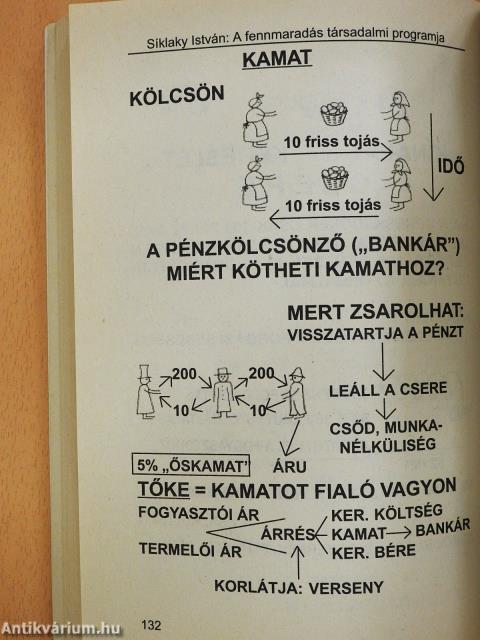 A fennmaradás társadalmi programja (dedikált példány)