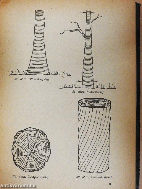 Ács- és épületasztalos-munkák