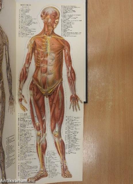 Gesundheitsbuch für die Familie