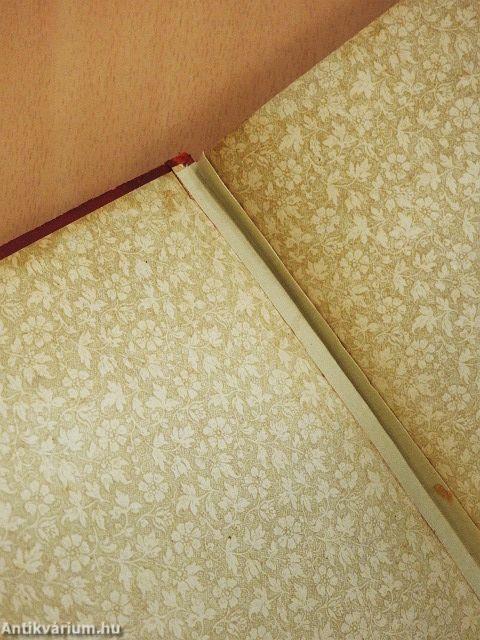 Utazás a Föld körül nyolczvan nap alatt