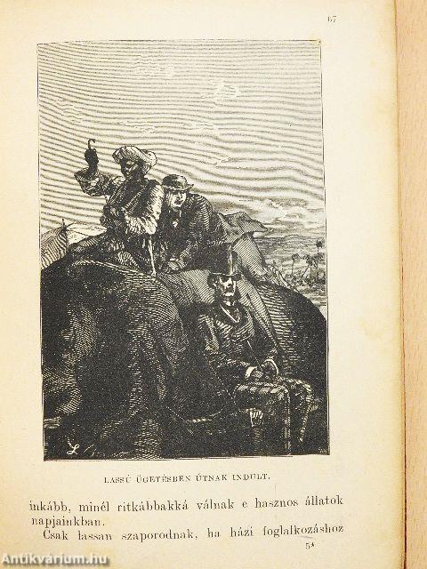 Utazás a Föld körül nyolczvan nap alatt