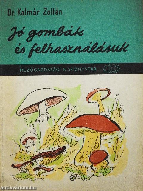 Jó gombák és felhasználásuk