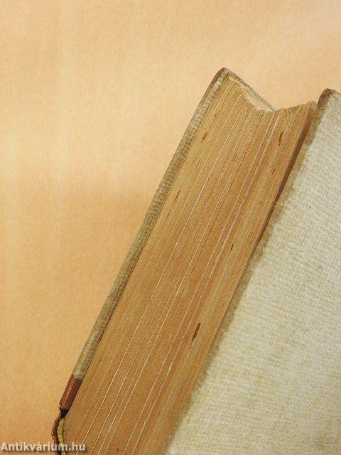 Ady Endre összes levelei Lédához és a nagy regény teljes története