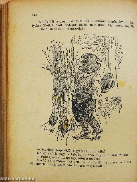 Mackó úr ujabb utazásai