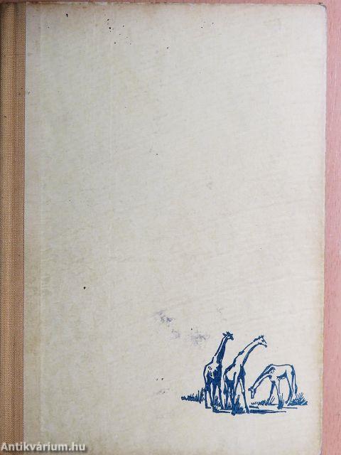 Így láttam Afrikát