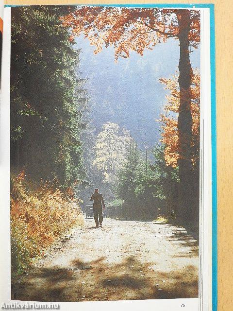 Foto-exkursionen mit der EXA