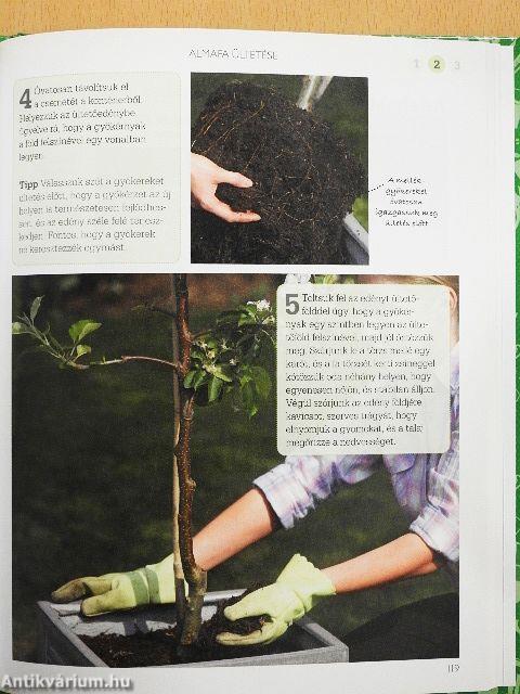 Kiskertek kézikönyve