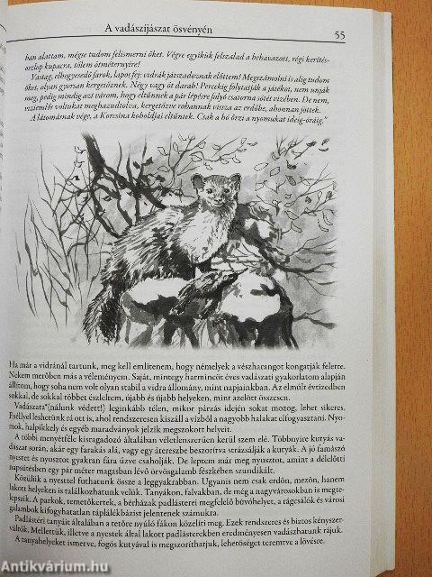 Nimród csillaga alatt