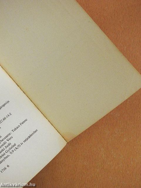 Regény és tapasztalat