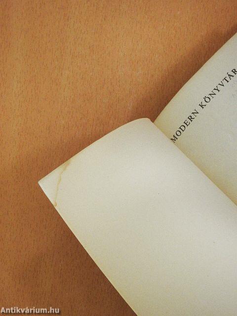 Regény és tapasztalat